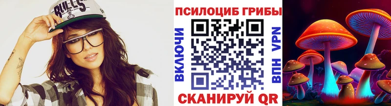 маркетплейс клад  Зея  Псилоцибиновые грибы прущие грибы  кракен как войти 